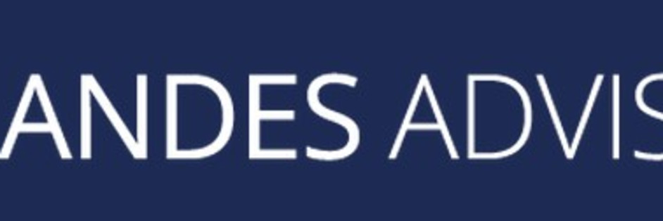 ANDES ADVISORY INC. cover image