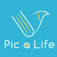 Pic a Life 玩閱科技有限公司 logo