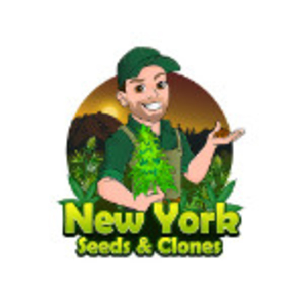 Avatar of New York Seeds & Clones.
