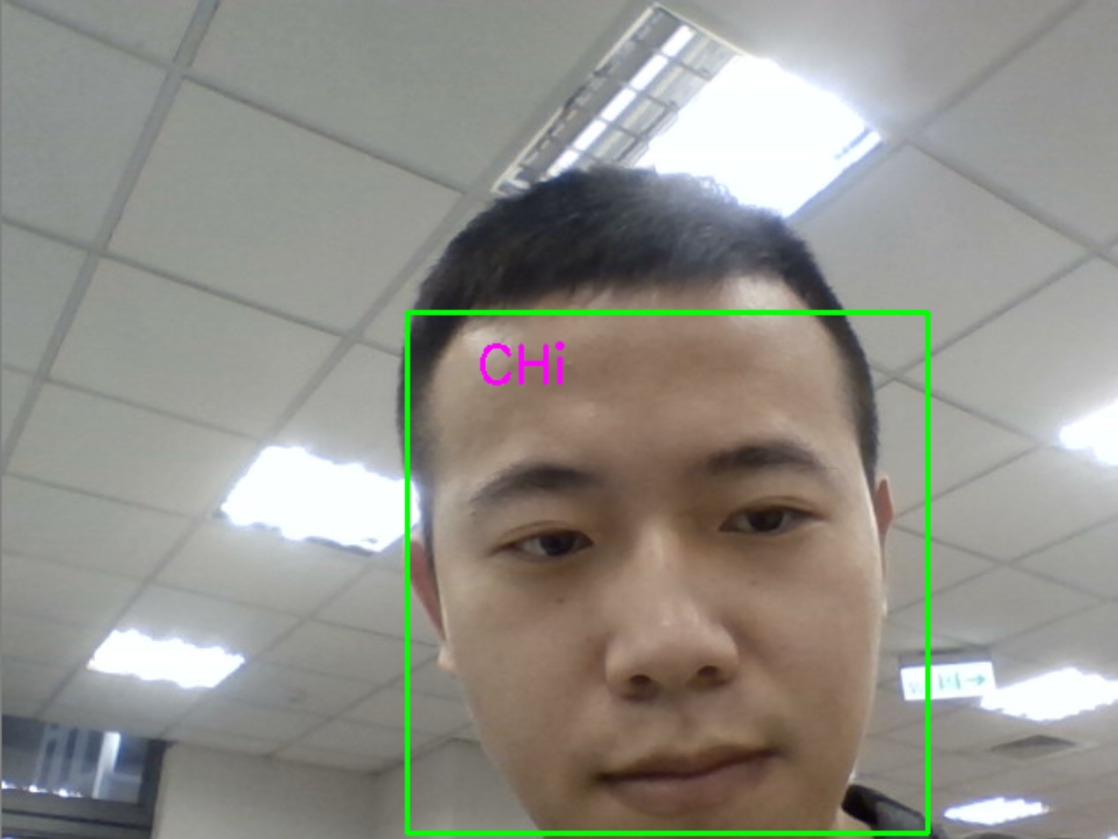 Cover of Face recognition.