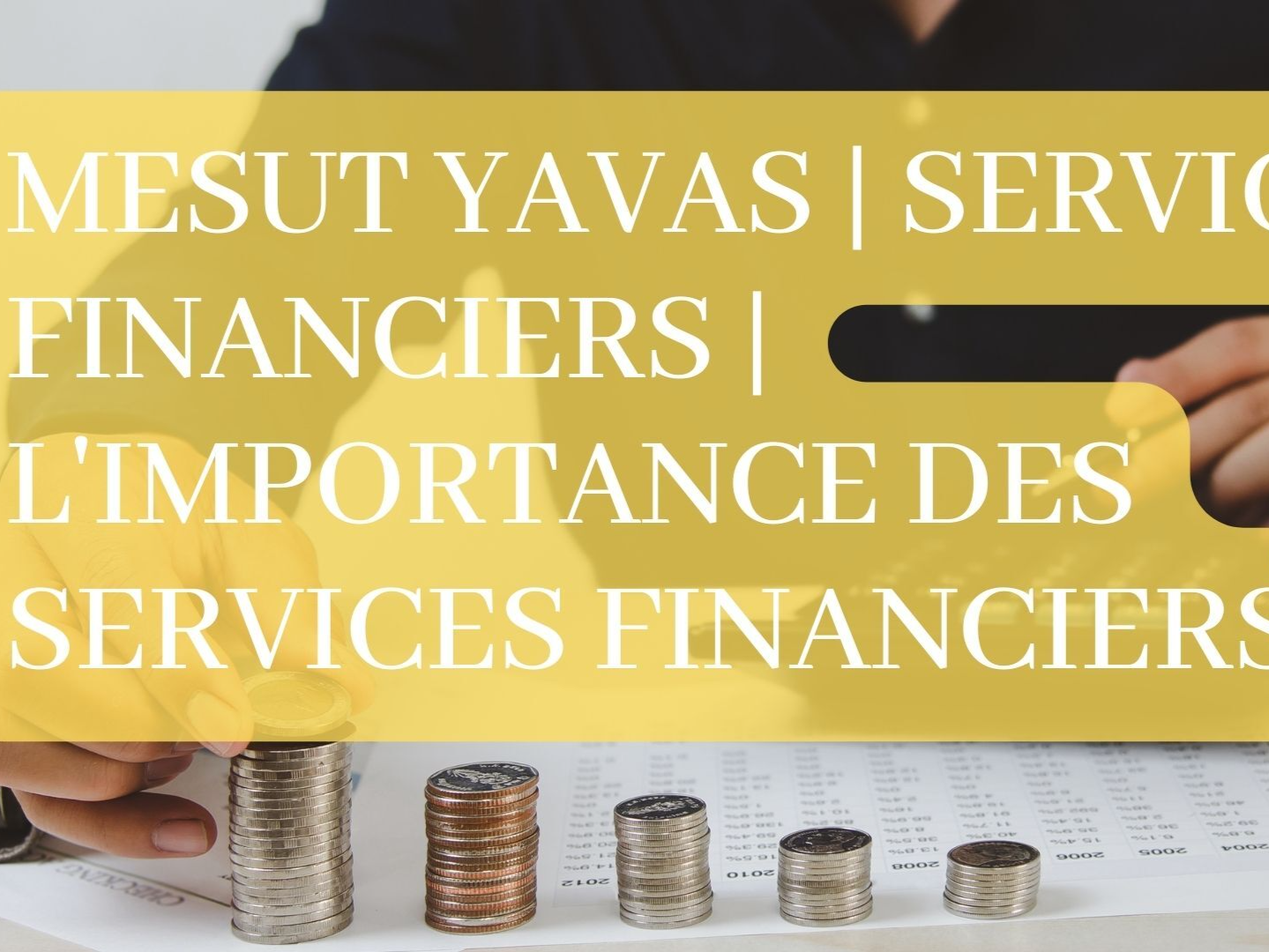 Cover of L'importance des services financiers.