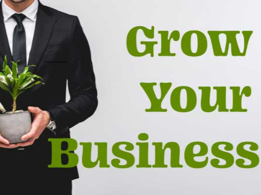 Cover of Grow Your Business Quickly .