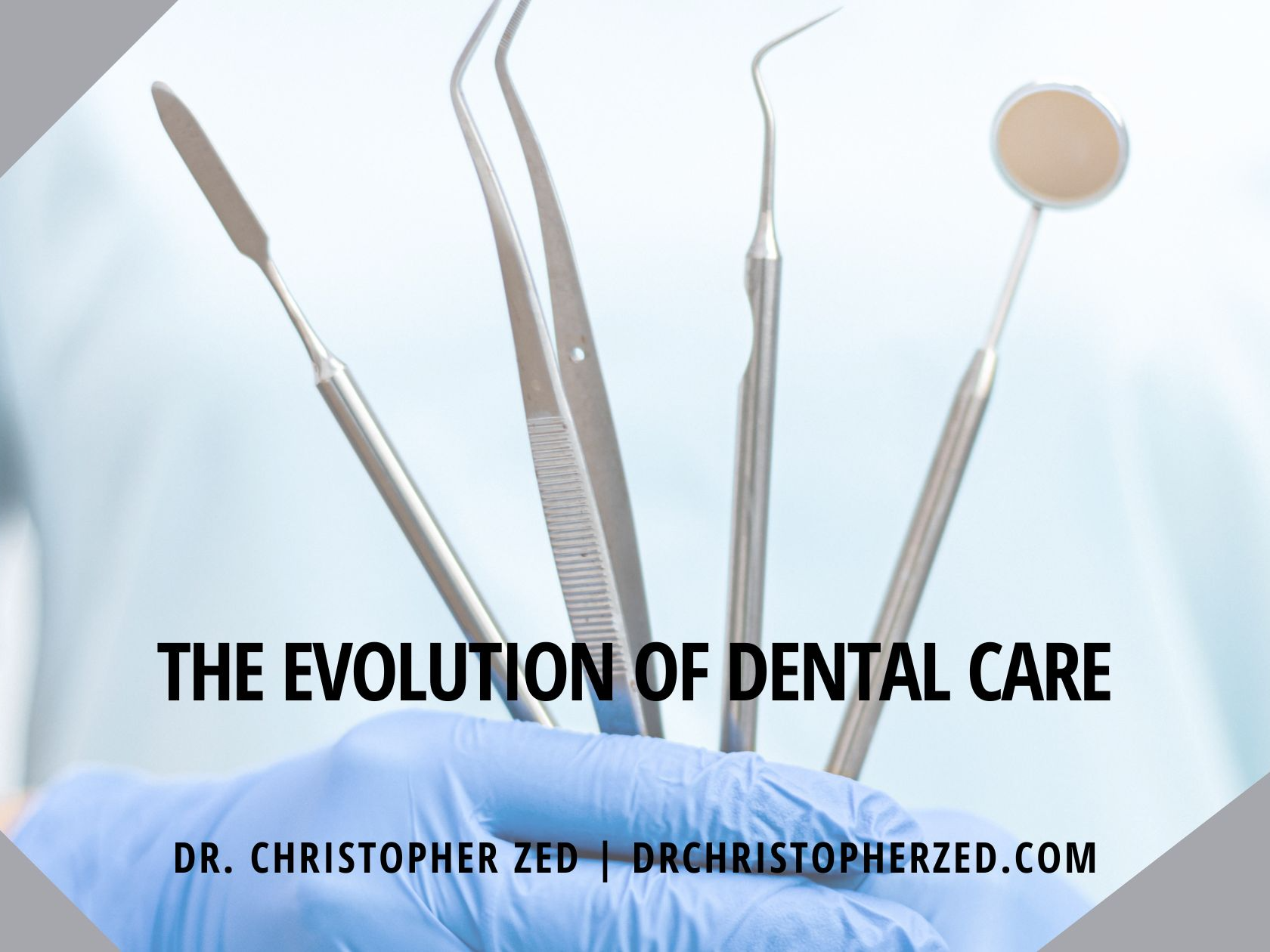 Cover of The Evolution of Dental Care.