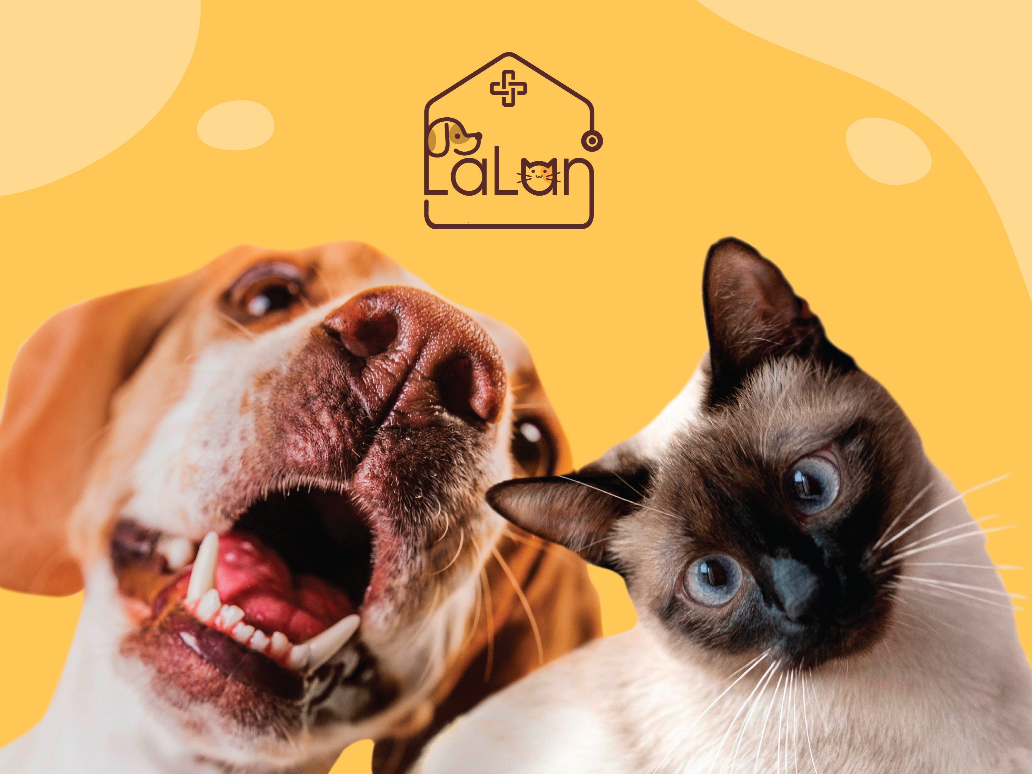 Cover of Lalan - Veterinary Clinic Branding.