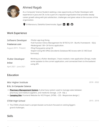 Software Engineer  Resume Examples