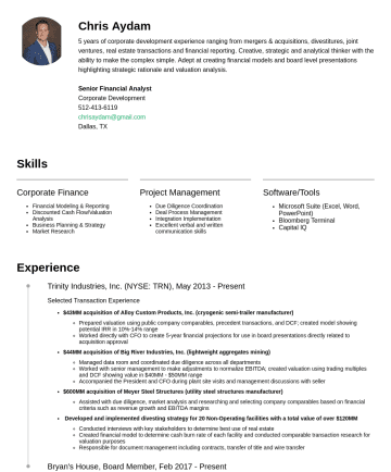 Private Equity Associate  Resume Examples