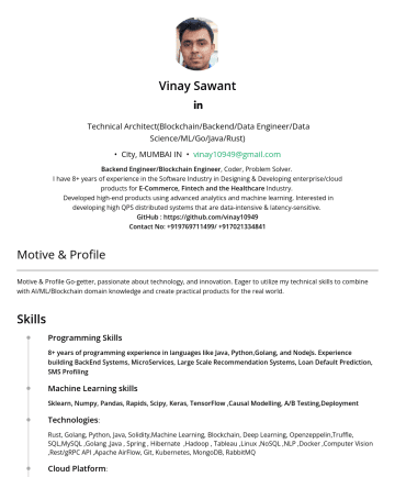 Lead Software Engineer  Mẫu CV